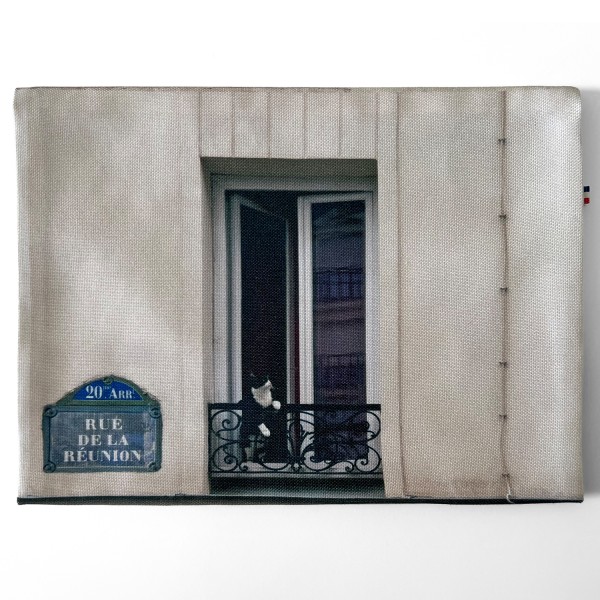 Pochette à livre Paris Chat Curieux