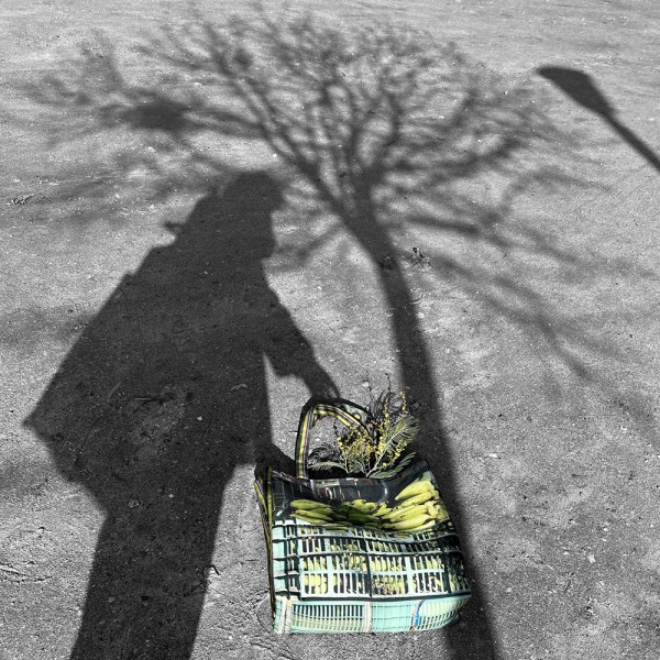 Ombre de femme sous un arbre portant le Cabas du marché Choux bananes de Maron Bouillie - Sac cabas original made in France