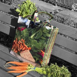 Cabas marché Radis Carottes de Maron Bouillie rempli de courses - Sac cabas original made in France 2