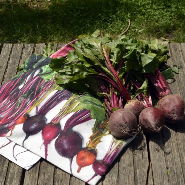 Sac de courses légumes - Sac à Betteraves violettes et multicolores sur un banc en bois. Maron Bouillie made in France