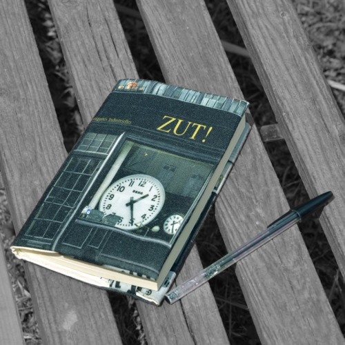 Book cover shop of Paris "Zut"  placed on a bench - Maron Bouillie made in France