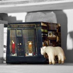 fabric storage box Paris Mélodies graphiques calligraphy shop on a shelf - Maron Bouillie made in France