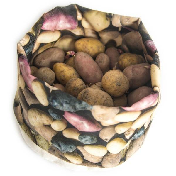 Vegetable basket printed Patatoes with real Patatoes inside on a white background top view - Maron Bouillie made in France
