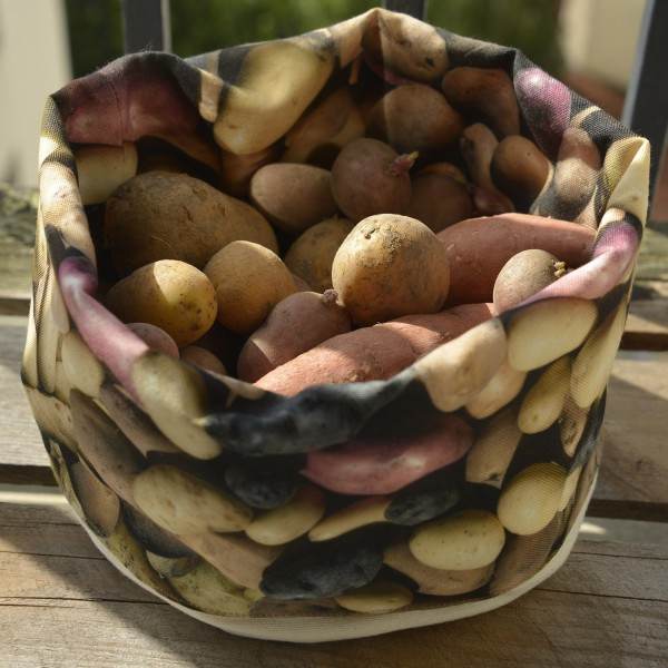 Patatoes Vegetable basket in the sun with real Patatoes inside - Maron Bouillie made in France