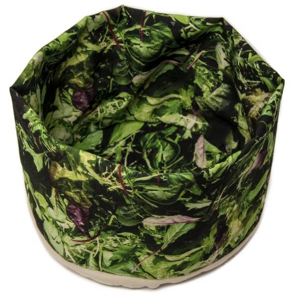 Vegetable basket printed photos of mixed salad - top view on a white background - Maron Bouillie made in France