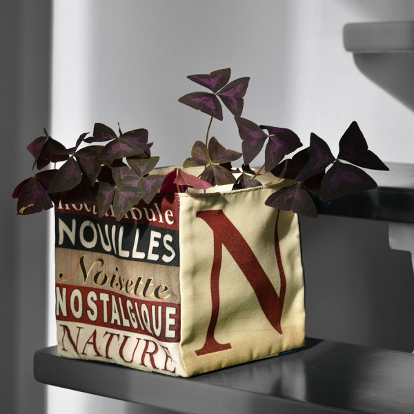 Alphabet letter box N used as a plant pot with a plant inside - Maron Bouillie made in France