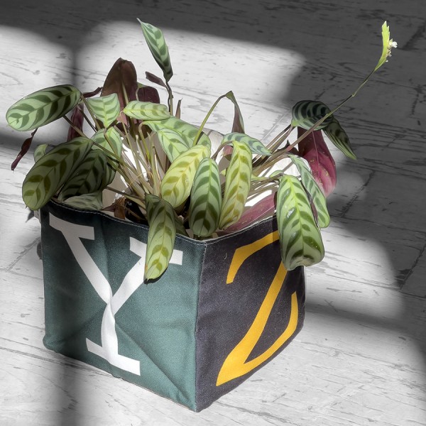 Panier de rangement lettres WXYZ utilisé en guise de cache-pot pour plante  - Maron Bouillie made in France