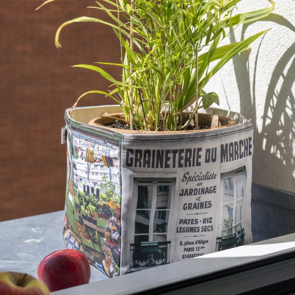 Home goods decorative box Paris vintage shop Graineterie du marché Maron Bouillie used as a planter with a plant inside