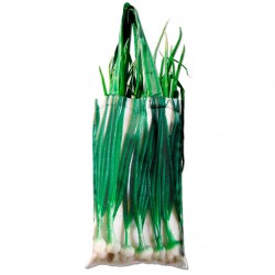 Onions bag 2