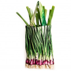 Spring Onions bag 2