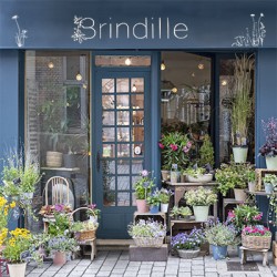 Bag Paris Florist "Brindille"